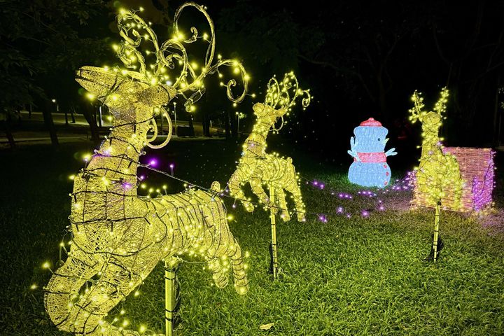 冬日應景!台北青年公園、大安森林公園花卉換新裝