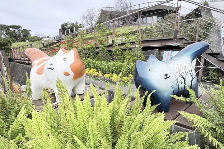 出站就看見 貓纜貓空站四季海棠迎賓