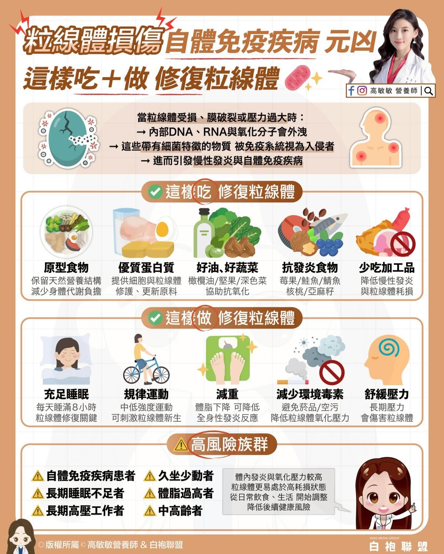 細胞能量工廠受損引發慢性發炎 養生飲食修復秘訣