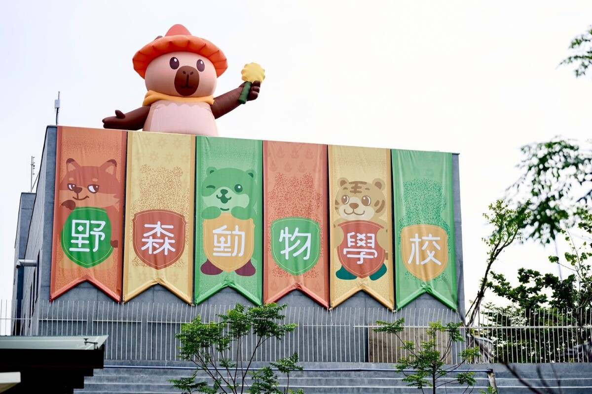 ▲「野森動物學校」即將在115年第一季試營運