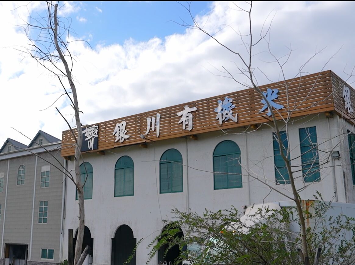 【有影】山海之間孕育有機力量　花蓮農人以時間與信念走出永續農業之路 239