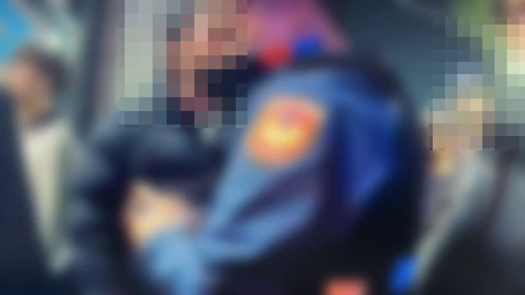 台南噁男伸狼爪!跨年晚會摸2女臀部 警速逮送辦