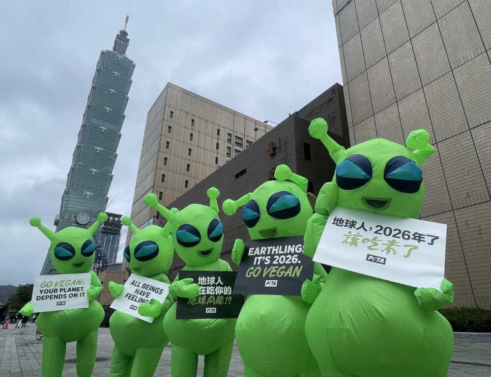 ▲外星人元旦快閃信義區,PETA推廣蔬食倡議尊重生命。(圖/PETA提供)