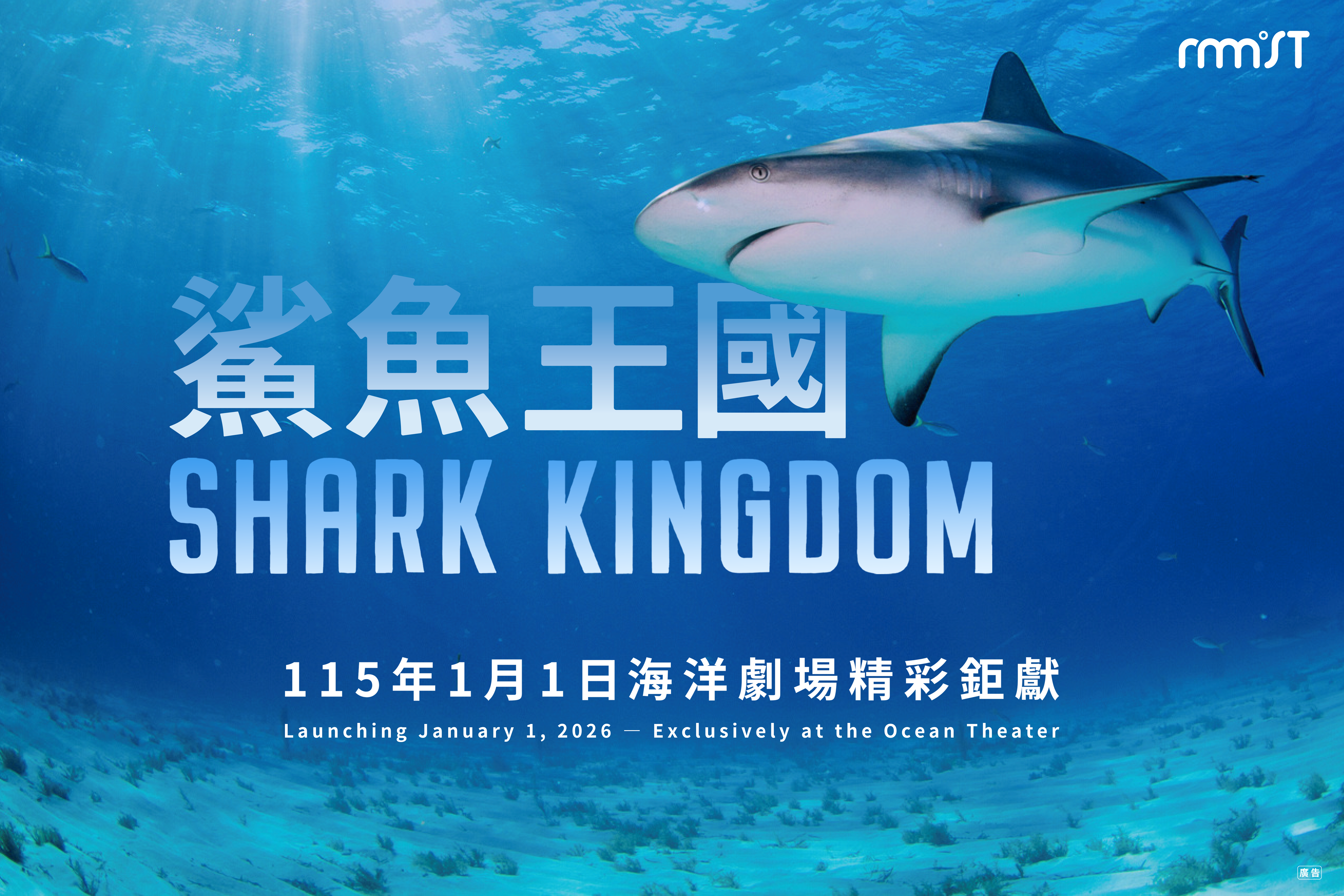 《鯊魚王國》海科館全台首映 沉浸式環繞音效探索海洋霸主奧秘 全臺博物館首映!海科館《鯊魚王國》巨幕登場