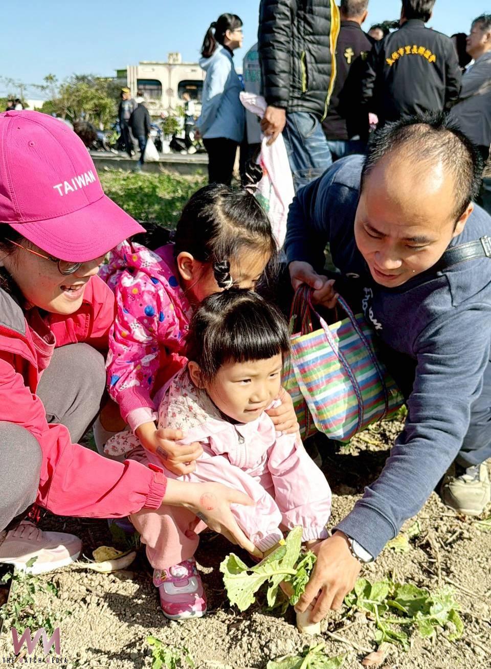 嘉義縣太保市公所迎接2026馬年好彩頭,特別舉辦「拔蘿蔔、迎新春」活動,親子體驗食農提升對在地農產與飲食文化的認識。(圖/太保市公所提供)
