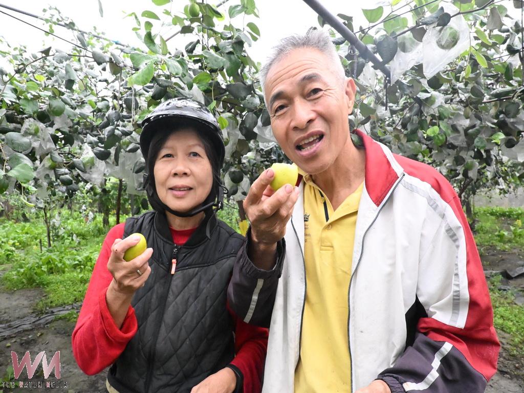 埔心鄉雪蜜棗元旦後甜蜜上市　羅福村優鮮出產訂單如雪片飛來 - https://www.watchmedia01.com