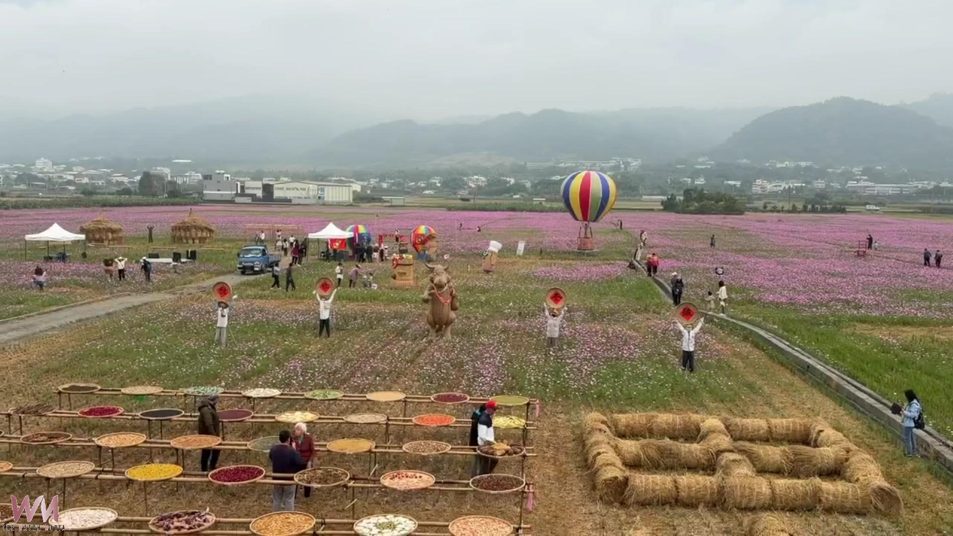 春遊彰化!12個鄉鎮市花海盛開 從波斯菊到向日葵 - https://www.watchmedia01.com