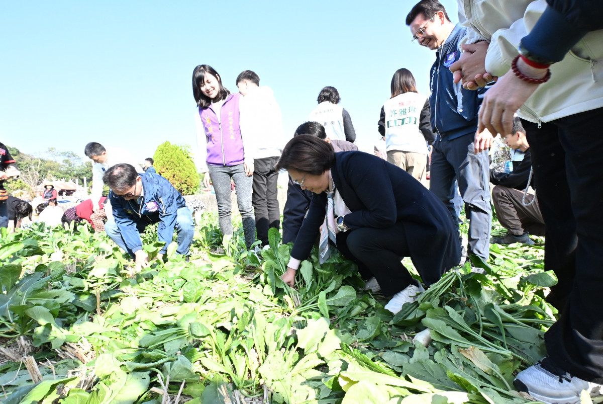 從產地到餐桌，芬園「白寶玉出土記」秒殺登場，吸引近6千人參與。圖／彰化縣政府提供