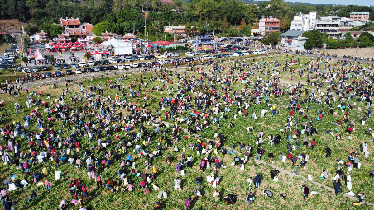 從產地到餐桌，芬園「白寶玉出土記」秒殺登場，吸引近6千人參與。圖／彰化縣政府提供
