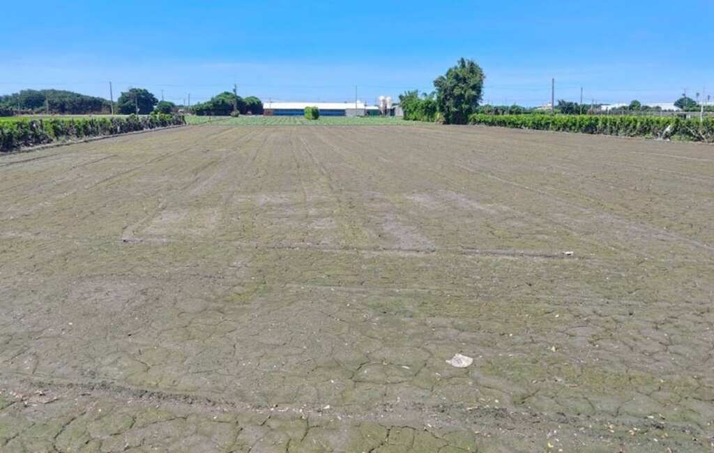 ▲彰化縣考古遺址審議會通過彰化縣芳苑鄉崙腳寮疑似考古遺址發掘申請審議案。(圖/彰化縣文化局提供)