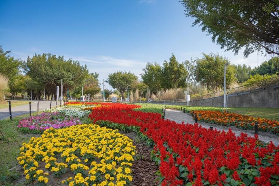 2026新年走春好去處! 台中道路、公園繽紛蒔花妝點城市景觀