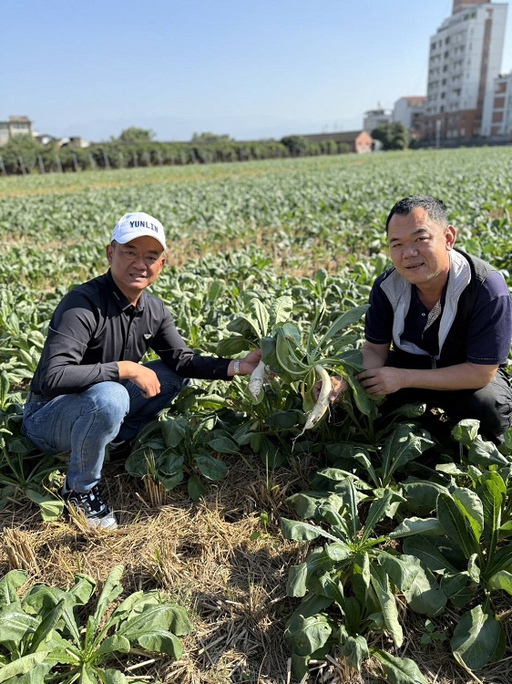 ▲2026一馬當先拔得菜頭─拔蘿蔔公益活動溫馨登場。（記者劉春生攝）