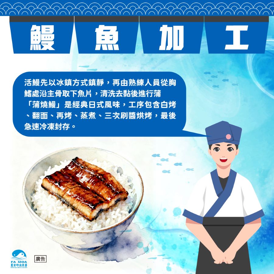 鰻魚加工流程專業繁複,需於水產加工廠中進行。(圖/農業部漁業署)