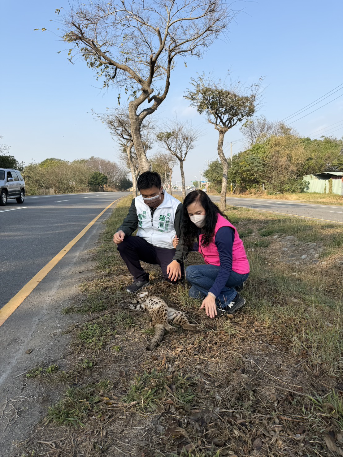 哎呀!石虎和美公路被撞死 驚見雙眼爆裂 - https://www.watchmedia01.com