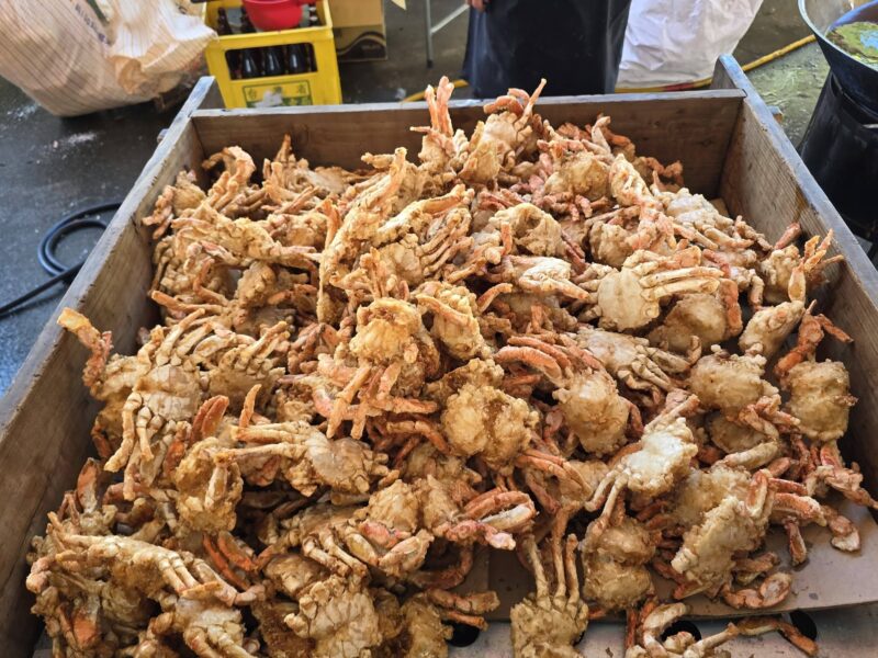 圖文:先天玉虛北極殿 恭迎崑崙白鶴仙童聖駕 舉行安座入火大典。