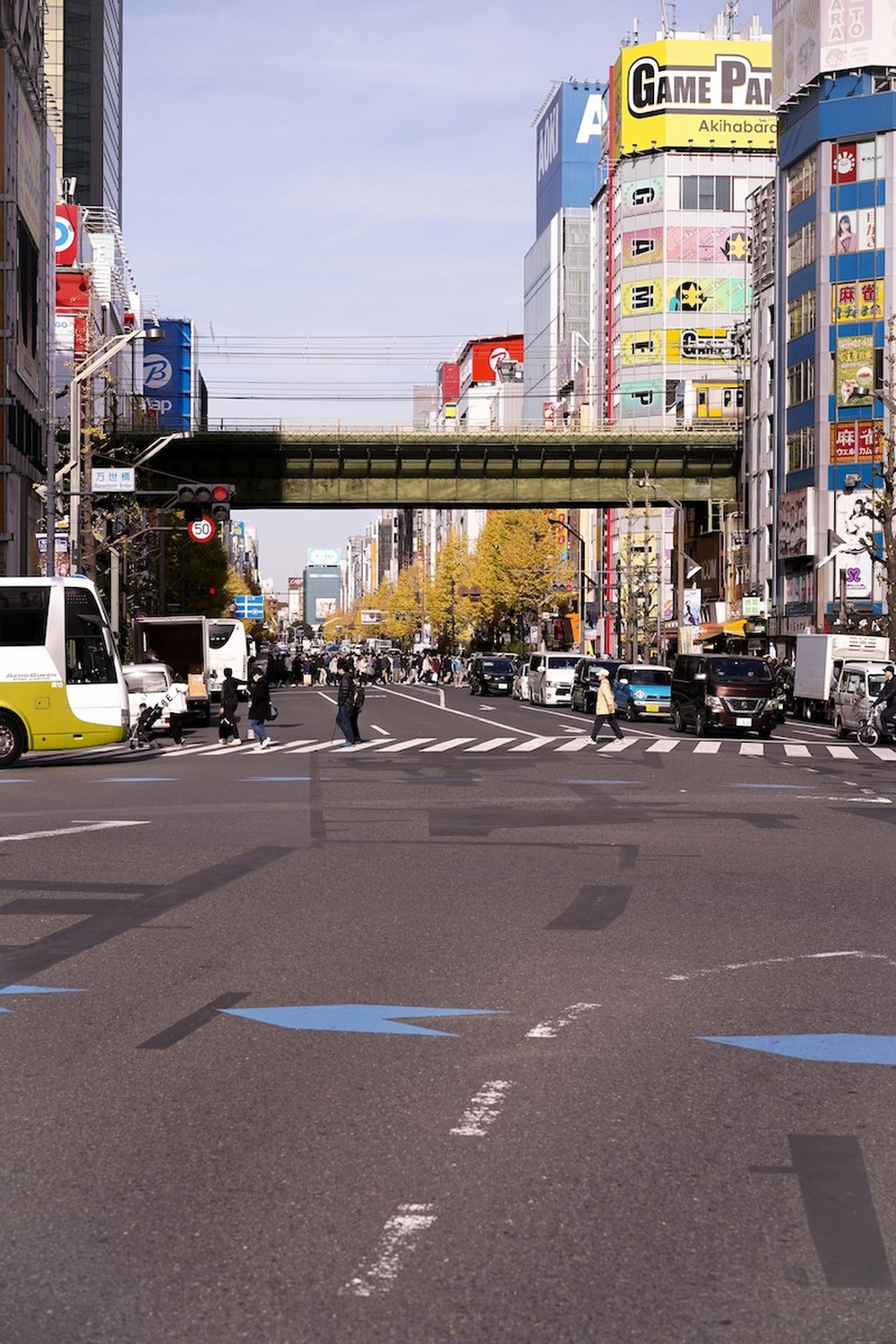 驚魂!秋田批發市場倉庫遭黑熊闖入 市府緊急應對