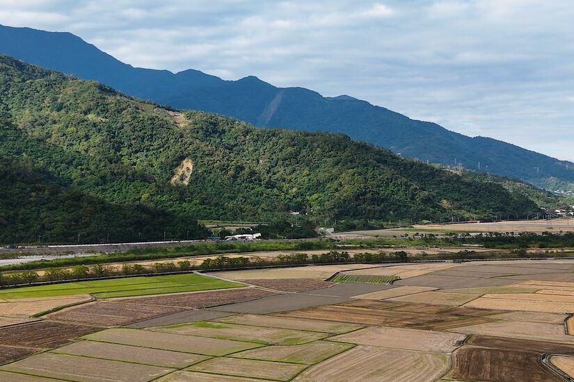 【有影】花蓮打造全台有機農業首都 順應山海走出永續新路 210 【有影】花蓮打造全台有機農業首都 順應山海走出永續新路 209