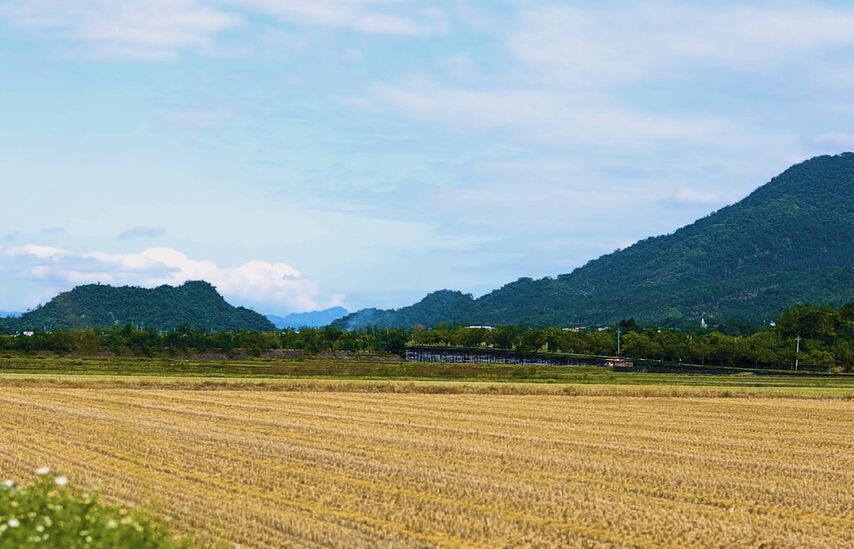 【有影】花蓮打造全台有機農業首都 順應山海走出永續新路 212 【有影】花蓮打造全台有機農業首都 順應山海走出永續新路 211