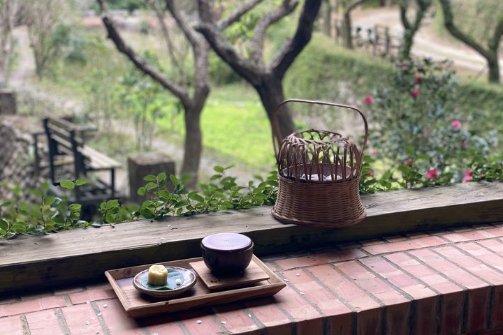 梅花搶先開!苗栗華陶窯覓梅、賞陶、梅花樹下品茶香