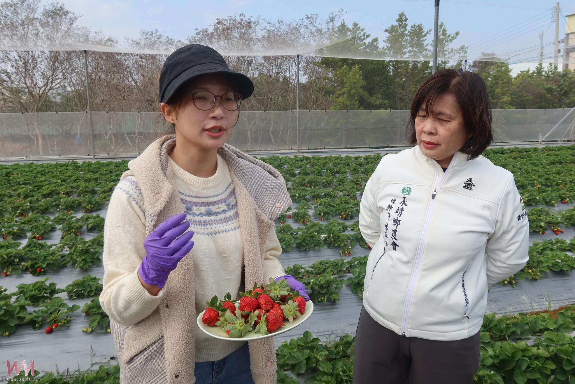 （有影片）／為孩子種的草莓園！永靖青農現採草莓甜到心坎裡 - https://www.watchmedia01.com