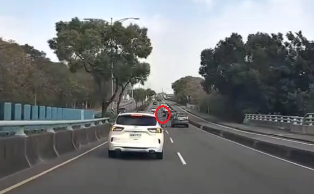 台74甲線東外環道車禍肇事者是「水鹿」! 遭撞翻滾數圈竄逃