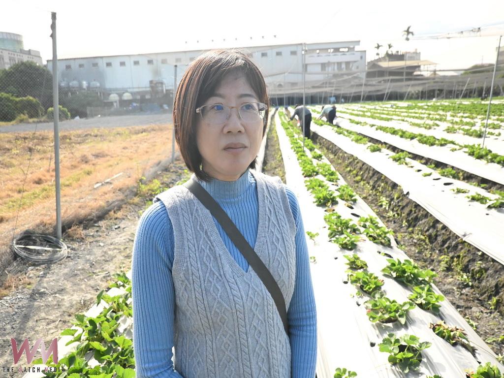 不被看好的夢想開花結果　陶子姐姐黃璿芸草莓園迎來第三季