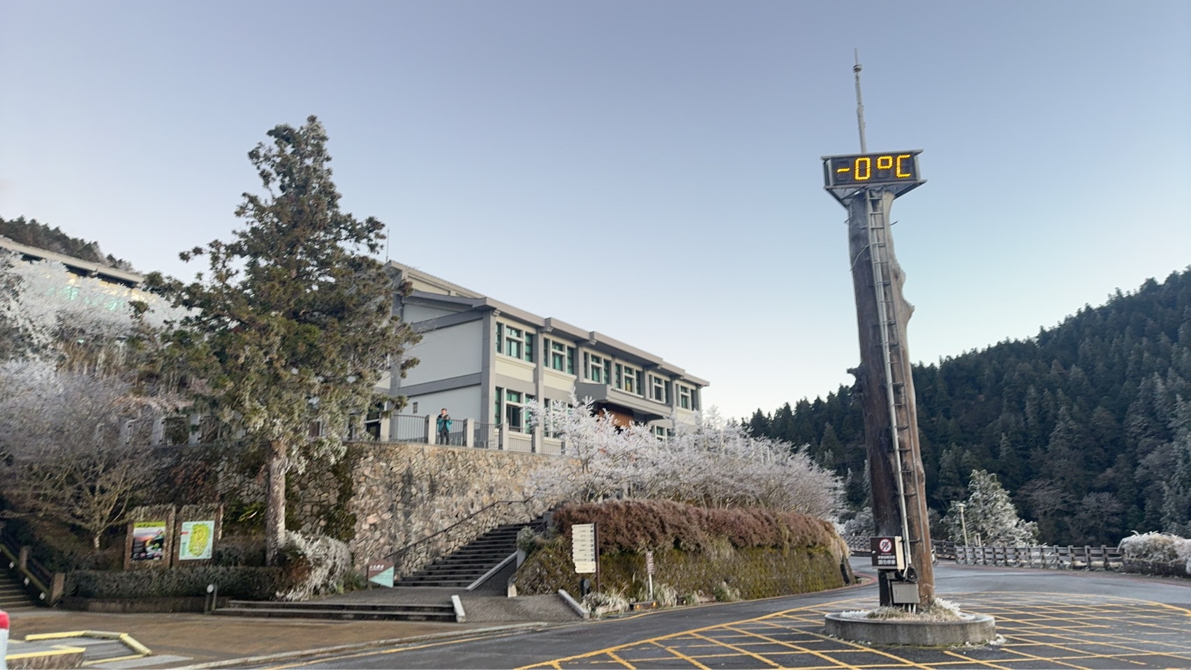 零度沒下雪!太平山另類美景吸睛 - https://www.watchmedia01.com