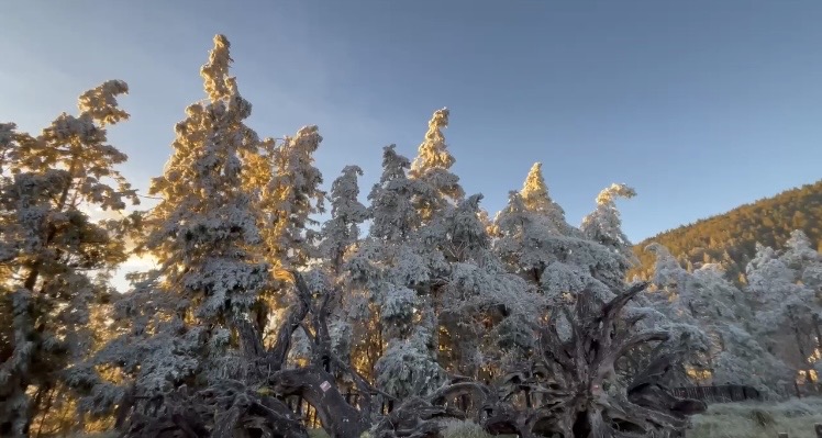 零度沒下雪!太平山另類美景吸睛 - https://www.watchmedia01.com