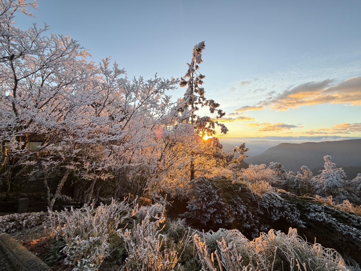 零度沒下雪!太平山另類美景吸睛 - https://www.watchmedia01.com