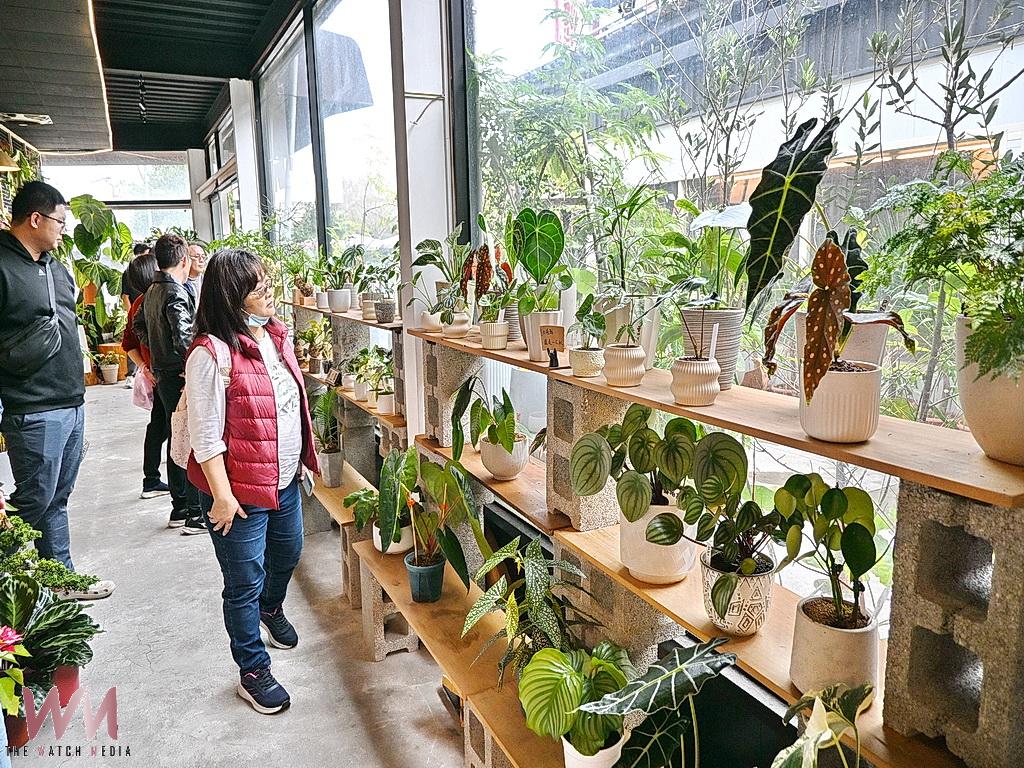 沐植園藝引進雨林新綠意 黃子其為田尾注入室內園藝新思維 - https://www.watchmedia01.com