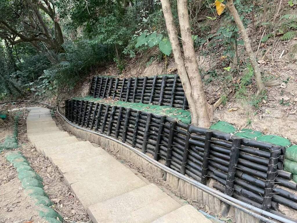 ▲6號步道設置木樁駁坎，以防止崩落。
