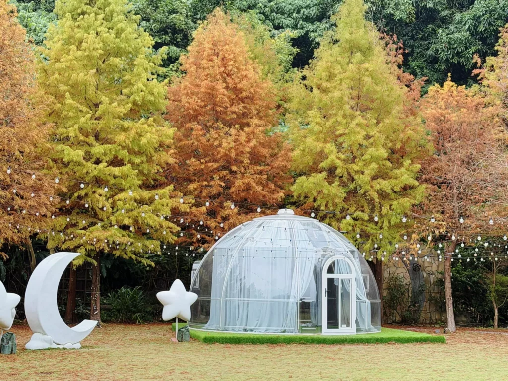 白雪花季來臨 7千坪落羽松森林免費入園再送500元餐券