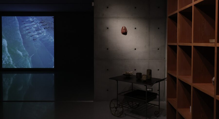 劉濬磊帶著個展《一界》在高雄「大唐生活美學館」展出，展期到月17日。(圖/大唐生活美學館)