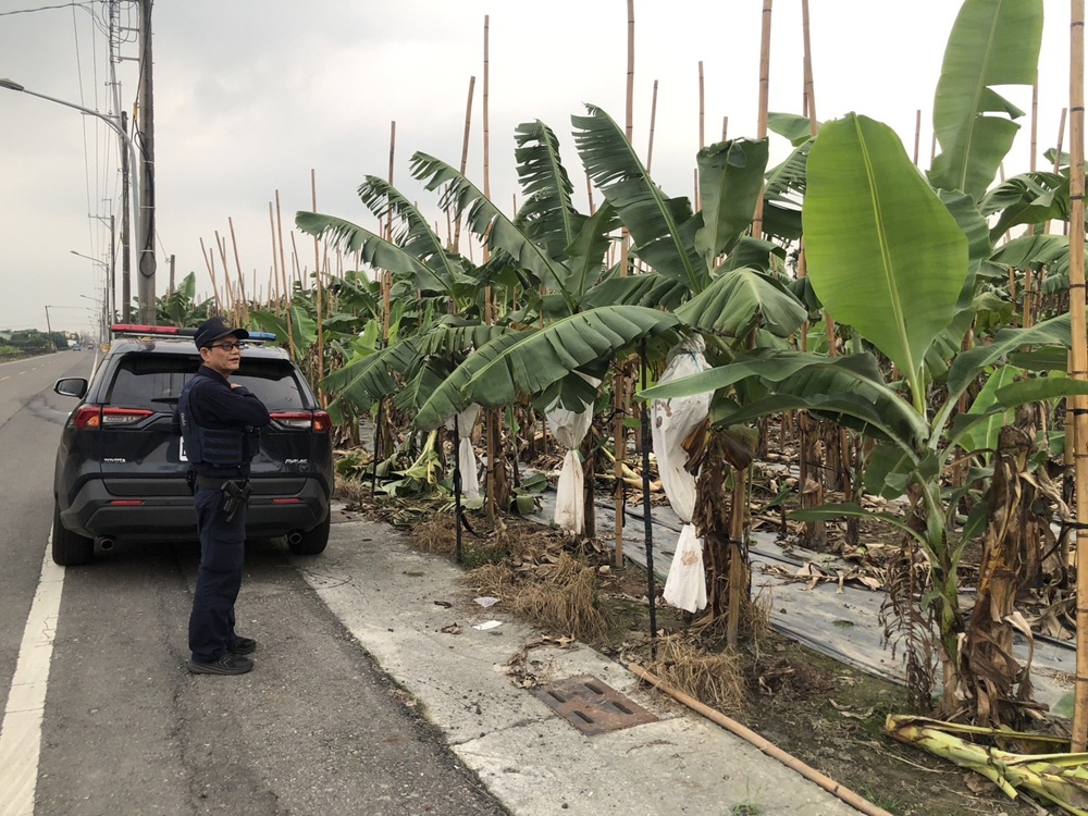 護農防竊專案啟動 屏東警結合民力與科技守住蕉農心血 226 cnews204260112a11