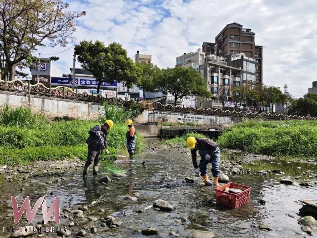 竹北豆子埔溪魚群因枯水低溫暴斃 竹縣府緊急補水開3水井全日挹注 - https://www.watchmedia01.com