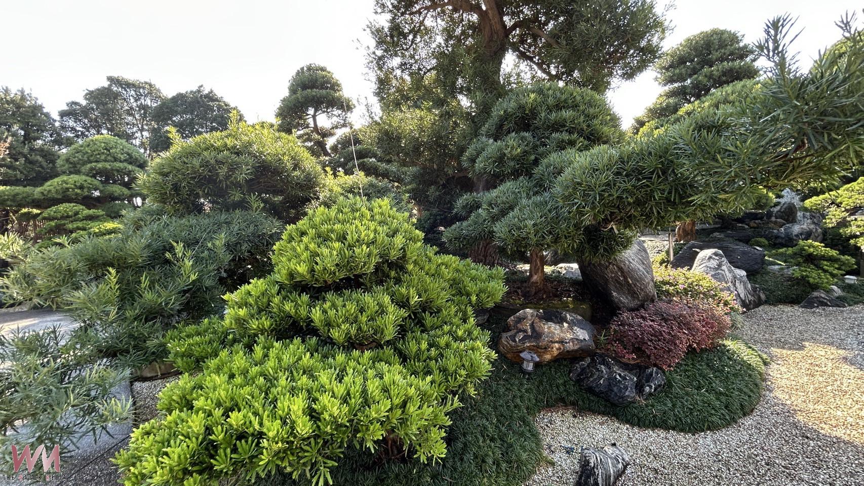 蘇揚烈的精緻庭園提升 台灣銘園庭園美術館重新定義居家美感 - https://www.watchmedia01.com