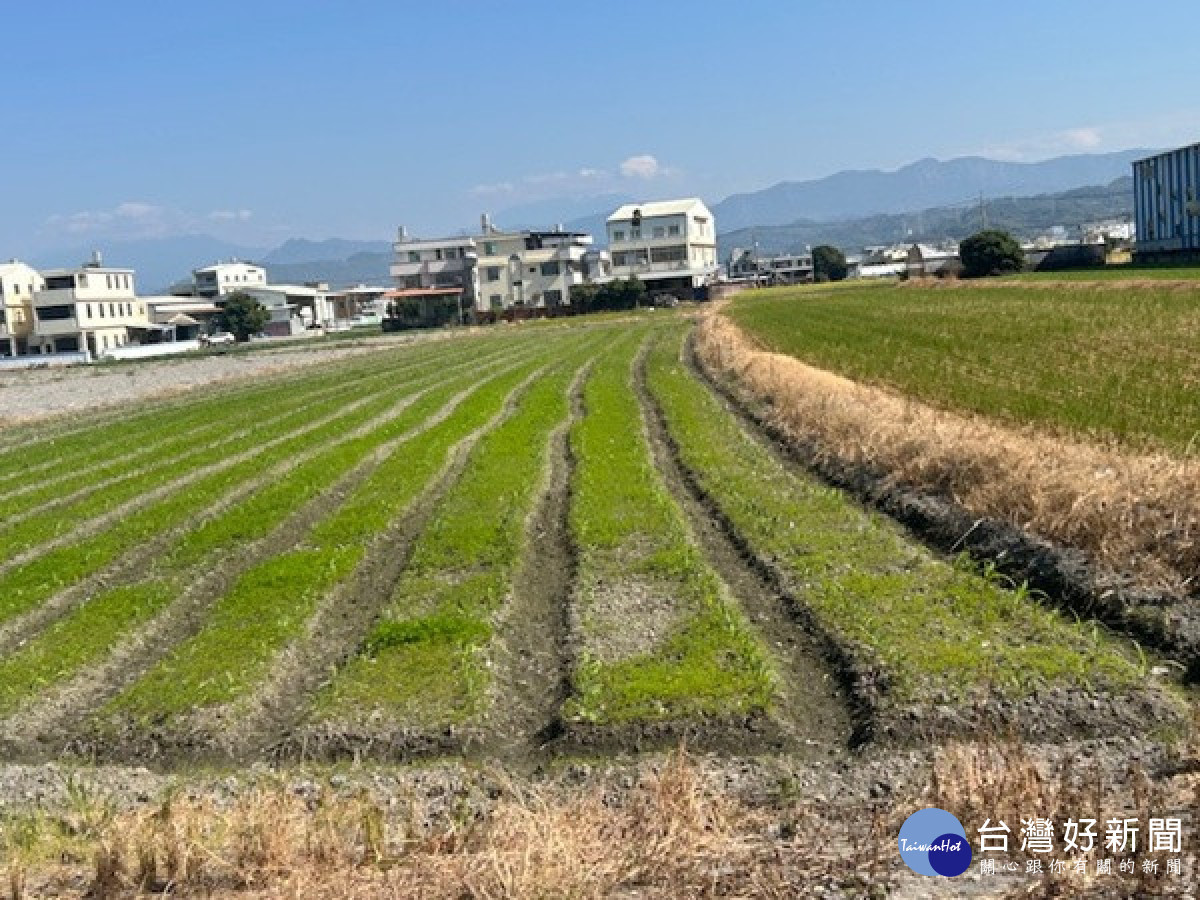 霧峰九成地是非都市計畫區。林重鎣