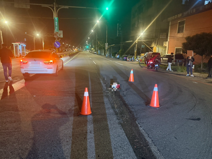 深夜輾斃遊蕩犬隻 肇事公車司機逃逸送辦 30 《圖說》現場目擊民眾。〈動保提供〉