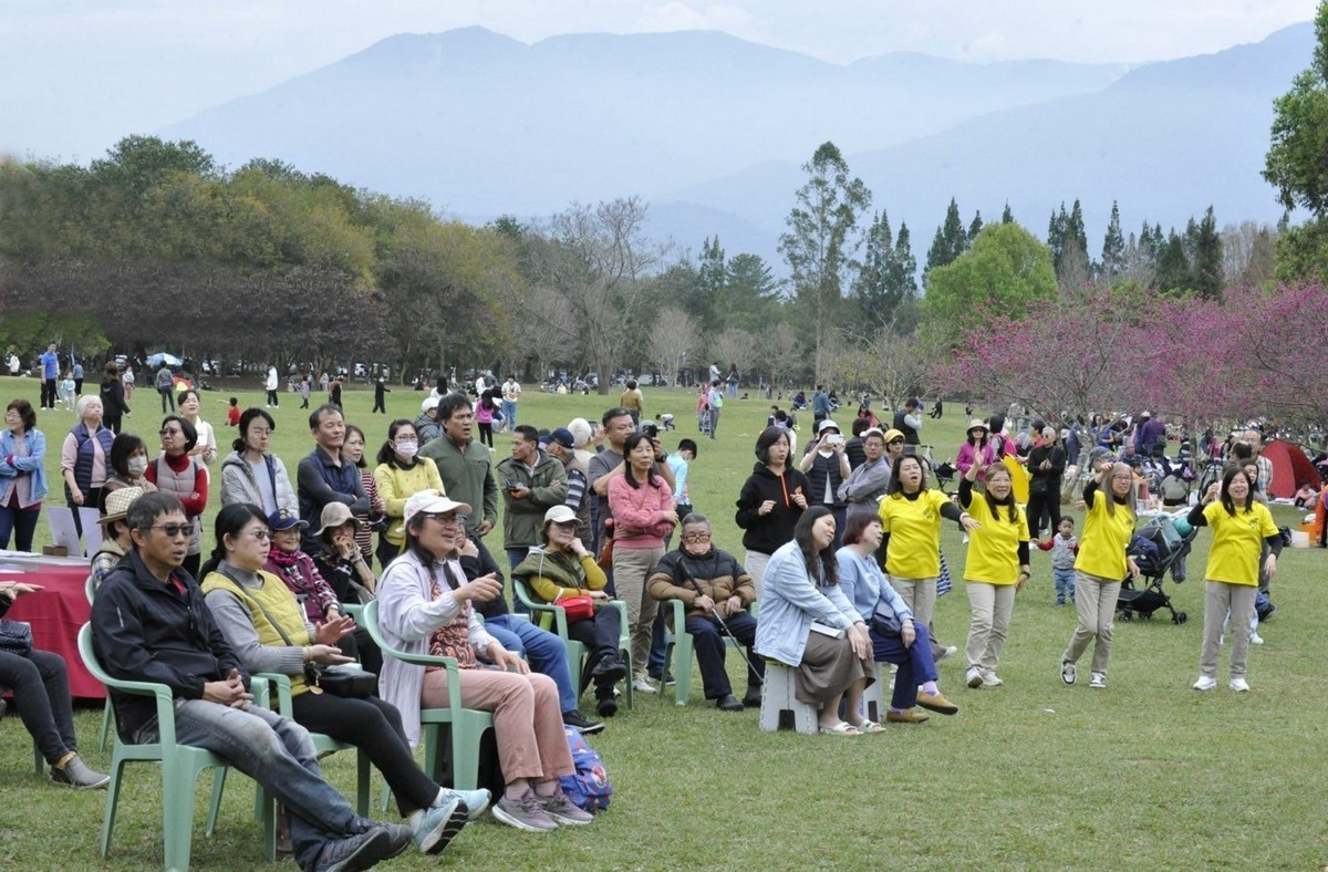 暨大櫻花季為「臺灣觀光雙年曆」全國級的活動,能吸引大量遊客入校,成為全台最重要的賞櫻指標。(暨大提供)