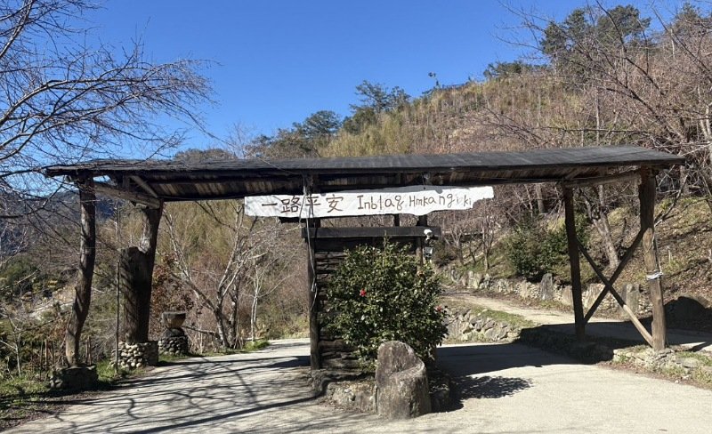 司馬庫斯櫻花季實施交通總量管制 1月19日起開放申請通行證