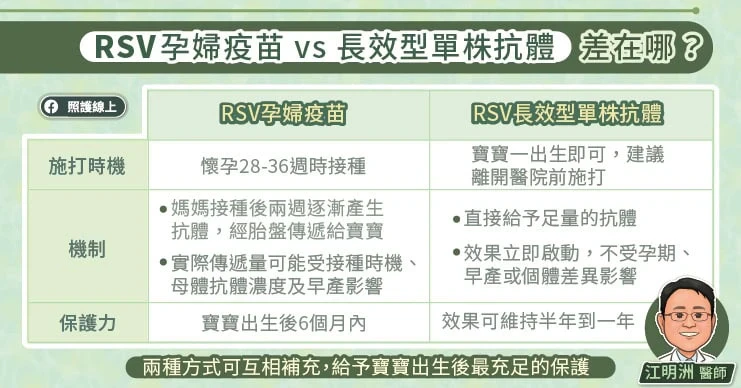 「RSV孕婦疫苗VS長效型單株抗體」差在哪?