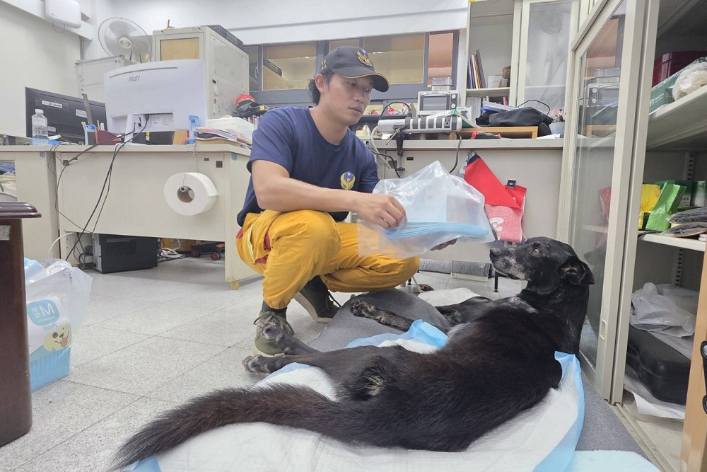 【台灣護國犬2-2】透露最好及最難訓練的搜救犬種 領犬員:從小帶到大會偏心給多點零食 220 【台灣護國犬2-2】透露最好及最難訓練的搜救犬種 領犬員:從小帶到大會偏心給多點零食 219
