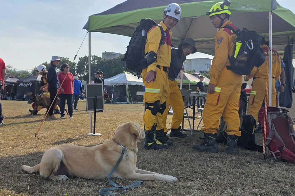 【台灣護國犬2-1】921後接軌國際搜救犬組織 內政部消防署:專業實力已為亞洲典範 236 【台灣護國犬2-1】921後接軌國際搜救犬組織 內政部消防署:專業實力已為亞洲典範 235