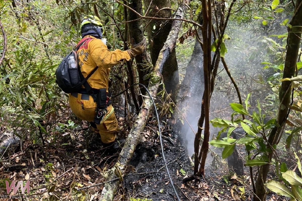 草嶺山林火警控制撲滅    張麗善率勘建置救災量能 - https://www.watchmedia01.com