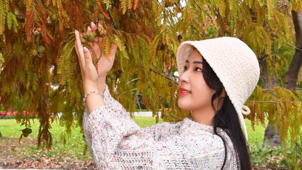 ▲落羽松季為成美文化園一年之中最具代表性的拍攝主題之一。（圖／記者林明佑攝）