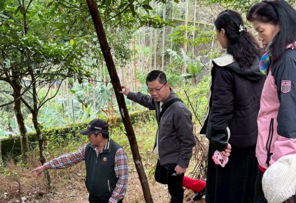 坪林水柳腳步道現勘 黃心華提優化觀光動線並提醒寒流保暖 234 248260116a10