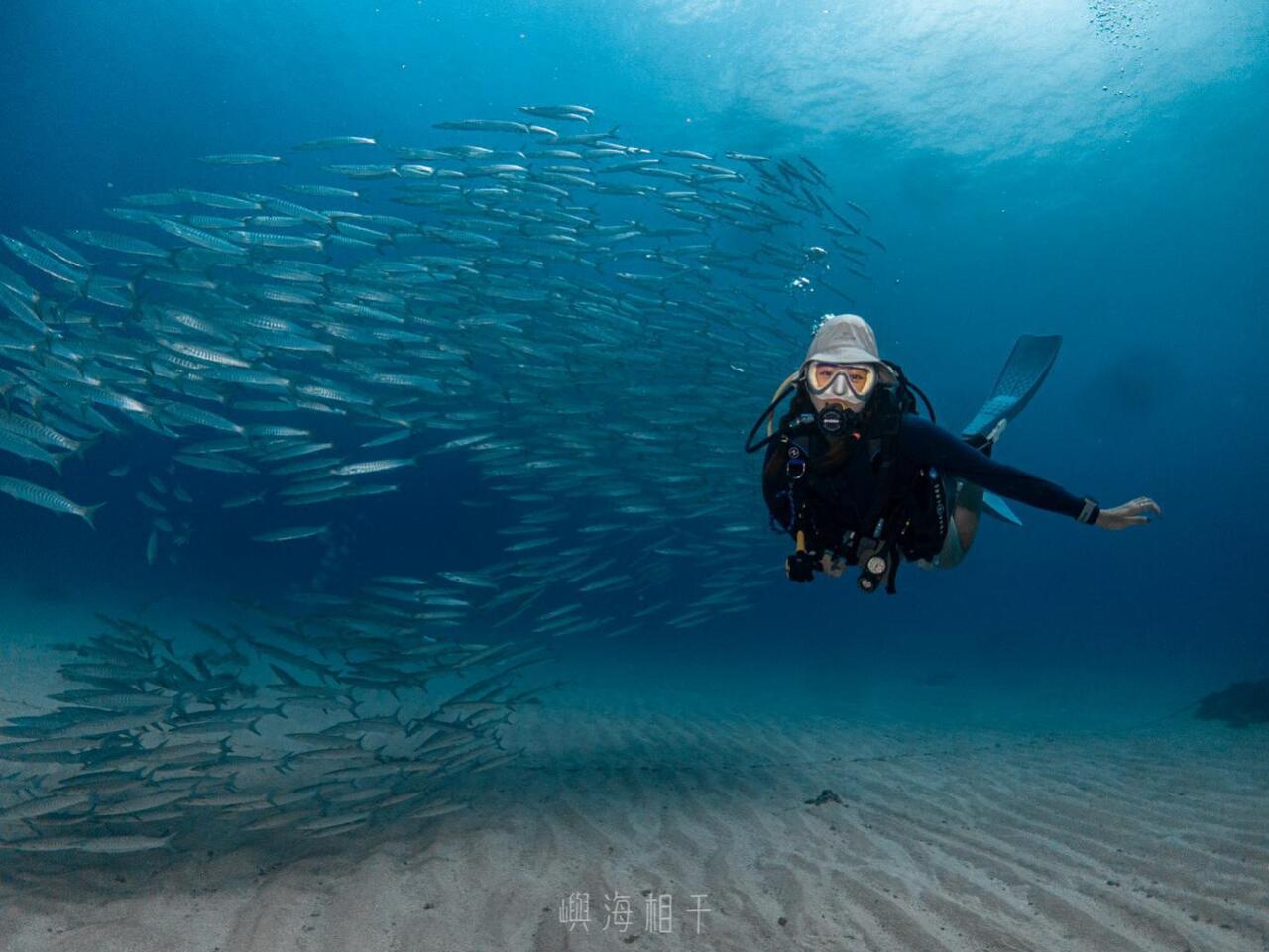 小琉球水肺潛水體驗,能近距離觀察豐富的海底生態,從海龜到珊瑚都清晰可見(圖/Medick Marketing Ltd.提供)