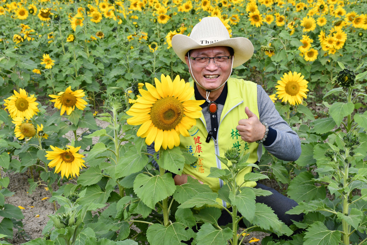 爭取民進黨縣長提名失利後林世賢市長回歸市政在17日彰化市公所舉辦一年一度盛大的花海。圖／彰化市公所提供