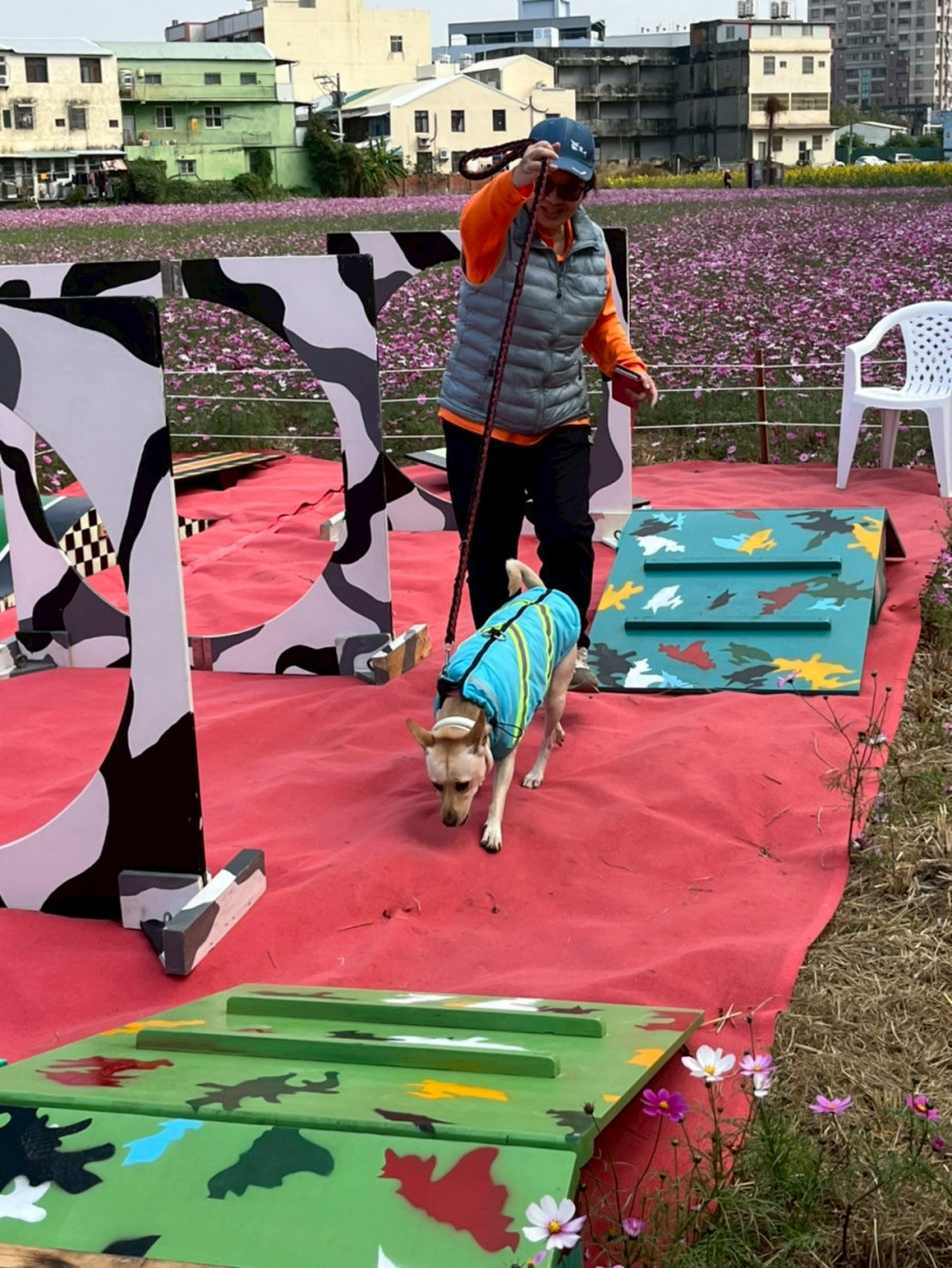 毛孩闖關、義剪服務與狂犬病預防注射。圖/彰化市公所提供