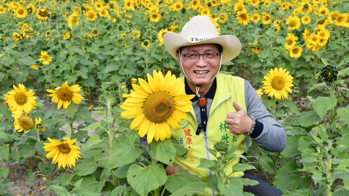 2026 Bloom彰化~浪漫相遇　在浪漫的花海活動遇見幸福